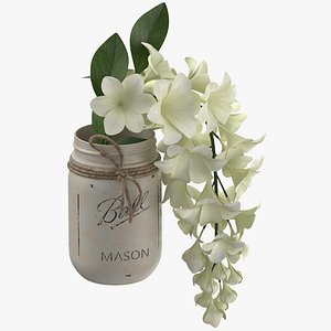 Flower in a Jar