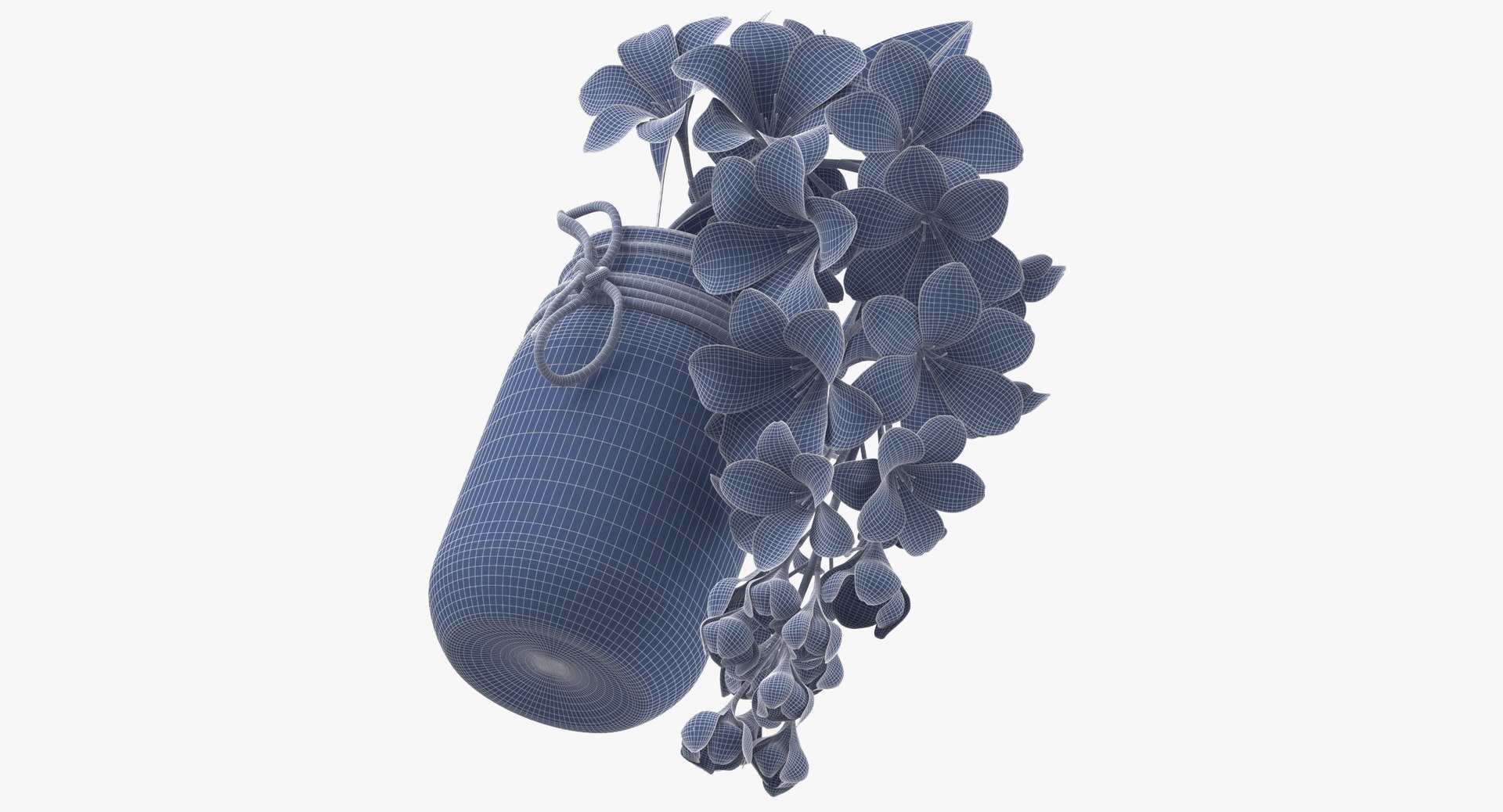 flower jar 3D model https://p.turbosquid.com/ts-thumb/Xe/6qlGWF/eD2xGfHs/flower_in_a_jar_wireframe_01_0007/jpg/1530273617/1920x1080/fit_q87/83db2c647b57e7faadeafb2c5c5862ebd305acab/flower_in_a_jar_wireframe_01_0007.jpg