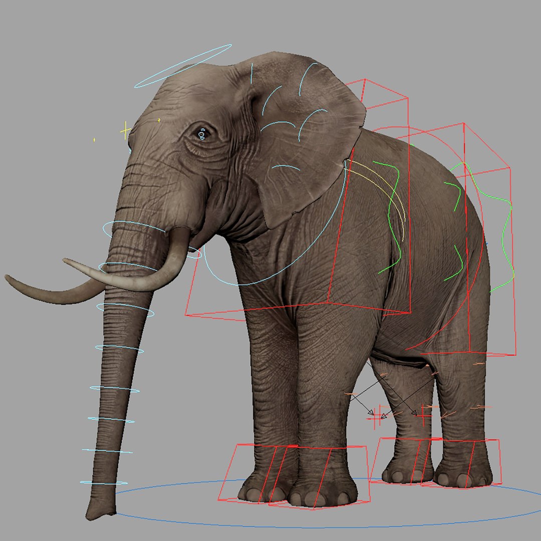 Rigged Elephant 3D - TurboSquid 1655603