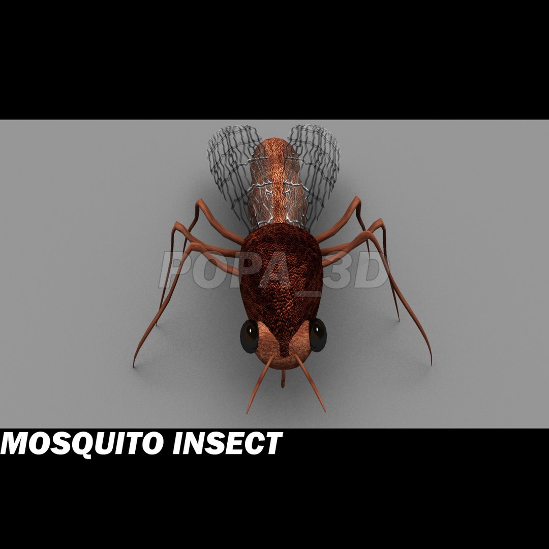 mosquito insect 3d max https://p.turbosquid.com/ts-thumb/Xe/bB2pg9/OZAKAkvc/mosc/jpg/1293831315/1920x1080/fit_q87/5cd9e243f37b1926c3c30d36d1588ba5ed420f96/mosc.jpg