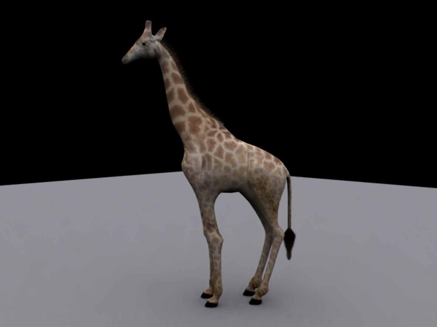 3d giraffe animation https://p.turbosquid.com/ts-thumb/Xe/kI5CW1/YU3sygfo/giraffe_render4/jpg/1141638718/1920x1080/fit_q87/d02d1cbe80675bce6805393cc938c96e11956b4f/giraffe_render4.jpg