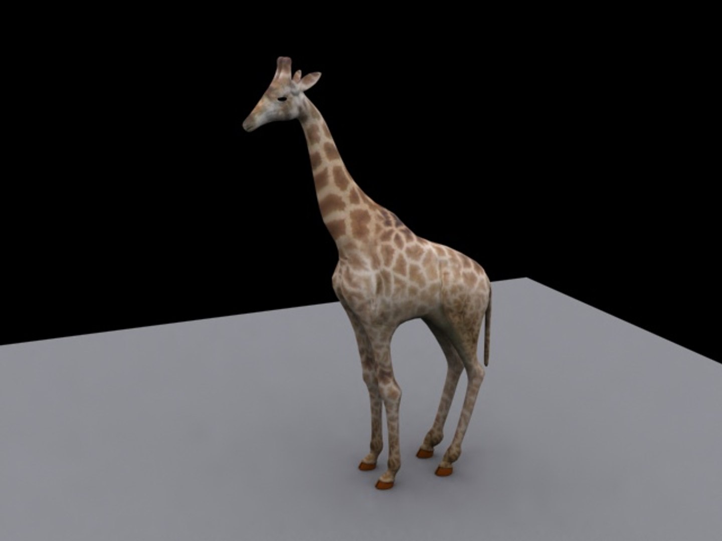 3d giraffe animation https://p.turbosquid.com/ts-thumb/Xe/kI5CW1/kqcy4vRB/giraffe_render1/jpg/1141638706/1920x1080/fit_q87/878b706ccfaef21ba327988b969dccf7685738a5/giraffe_render1.jpg
