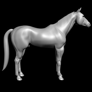 HorseComplete