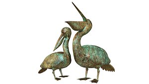 Pelicans 3D
