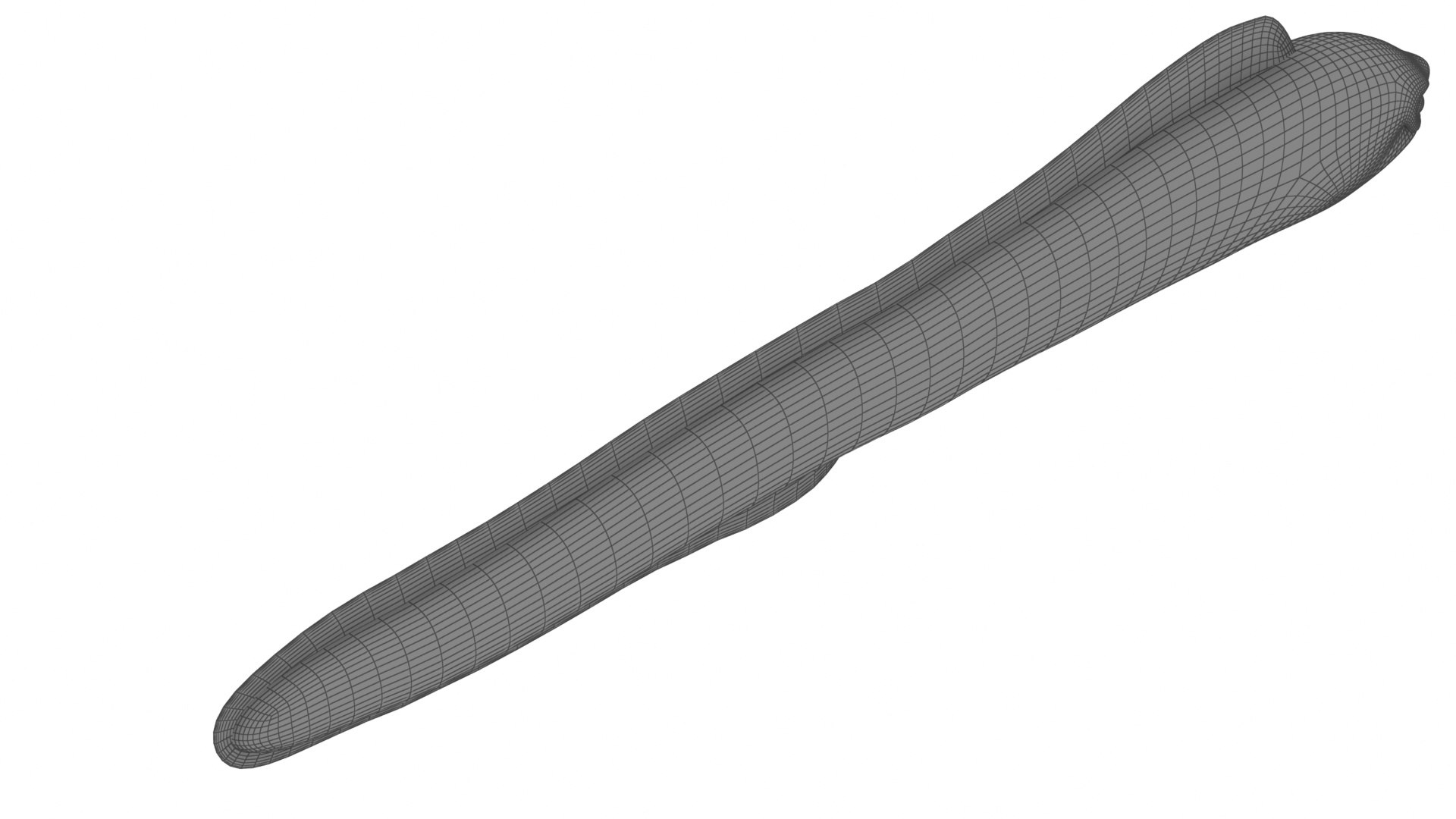 3D Cartoon Eel https://p.turbosquid.com/ts-thumb/Xf/CQDlOS/VY/cartooneel17/jpg/1687344983/1920x1080/fit_q87/cfcce3d26fe3ad6127bb1d98b734ec6d10d4b674/cartooneel17.jpg