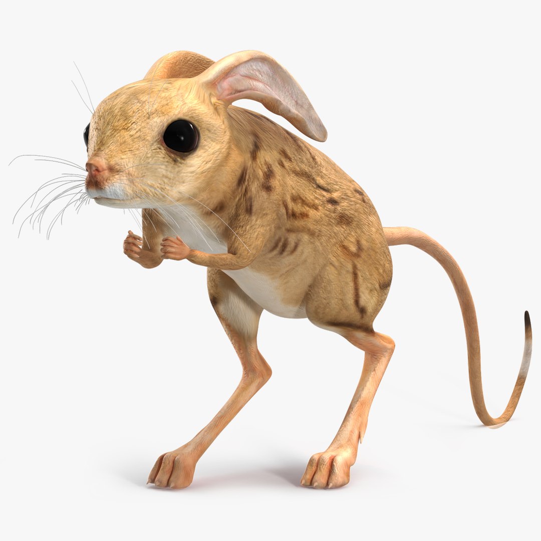  ♡ Jerboa Jerboa - UNPAINTED - Animal Den Miniatures - Etsy