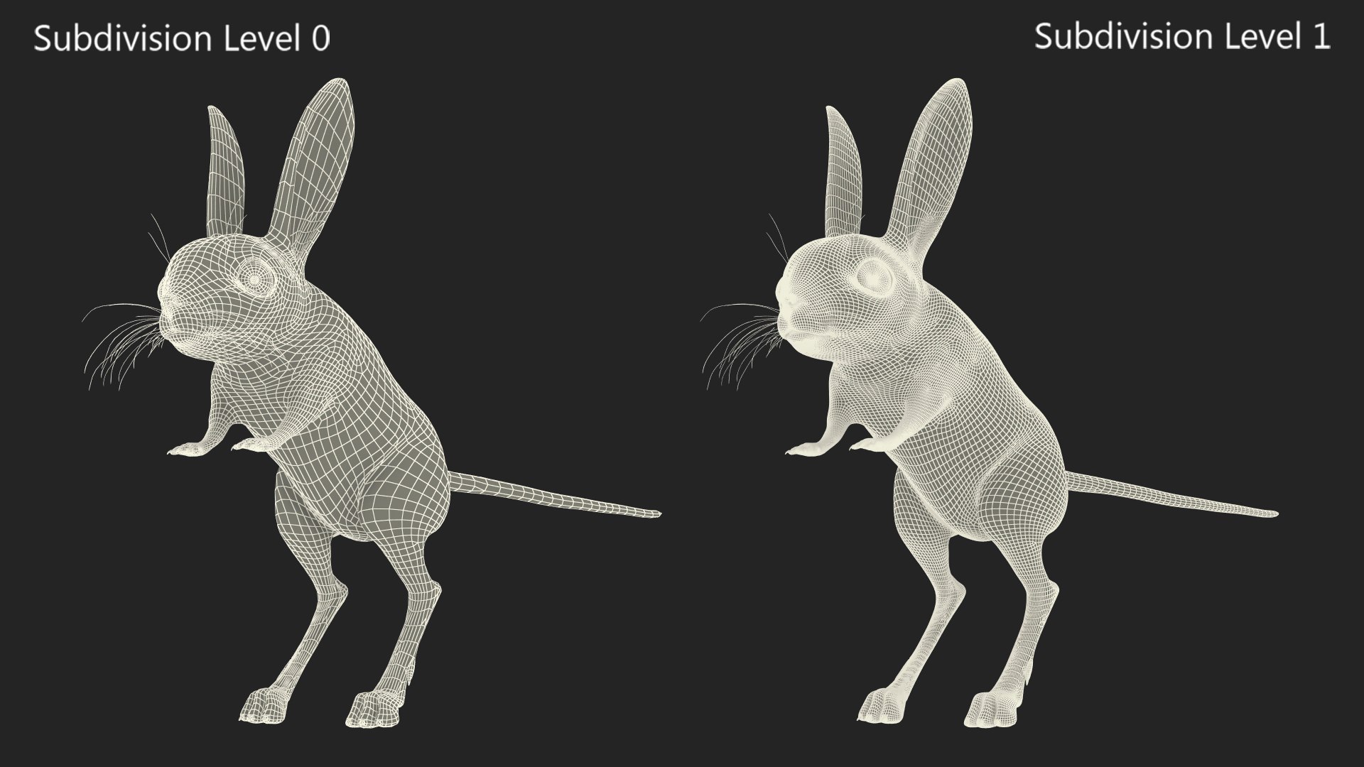 Desert Jerboa Rigged 3D https://p.turbosquid.com/ts-thumb/Xf/GySknD/2P/desertjerboariggedmb3dmodel032/jpg/1709590752/1920x1080/fit_q87/304dd6704886f55960d038827fbc4aa3629f10e9/desertjerboariggedmb3dmodel032.jpg