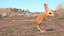 砂漠トビネズミの装備