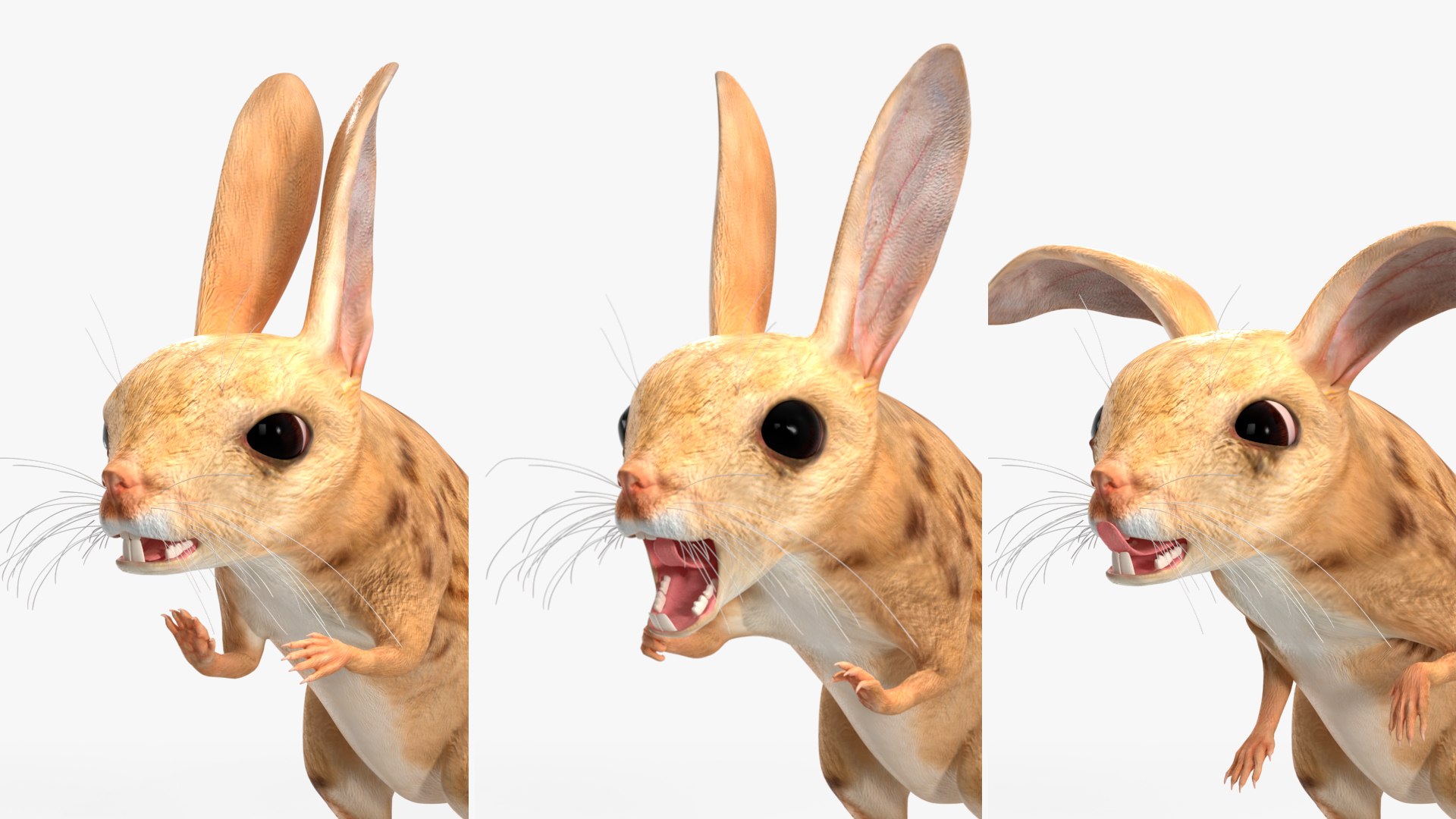 Desert Jerboa Rigged 3D https://p.turbosquid.com/ts-thumb/Xf/GySknD/5n/desertjerboariggedmb3dmodel024/jpg/1709590718/1920x1080/fit_q87/c4925cff0c99da485737606ad6ff61892af52690/desertjerboariggedmb3dmodel024.jpg