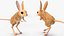 砂漠トビネズミの装備