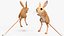砂漠トビネズミの装備