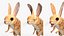 砂漠トビネズミの装備