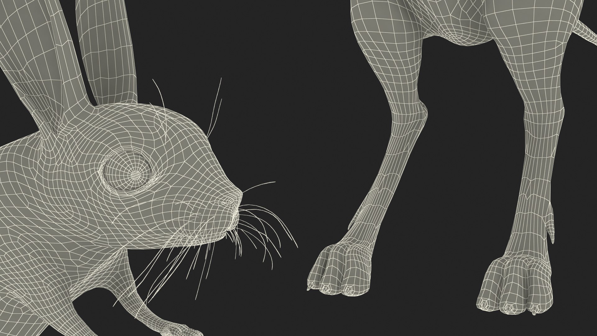 Desert Jerboa Rigged 3D https://p.turbosquid.com/ts-thumb/Xf/GySknD/GS/desertjerboariggedmb3dmodel038/jpg/1709590778/1920x1080/fit_q87/128a691f03a0dc8648db3fcfda7c69ead72be4f9/desertjerboariggedmb3dmodel038.jpg