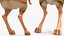 砂漠トビネズミの装備
