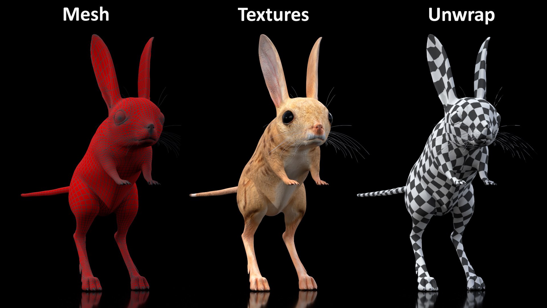 Desert Jerboa Rigged 3D https://p.turbosquid.com/ts-thumb/Xf/GySknD/M3/desertjerboariggedmb3dmodel030/jpg/1709590743/1920x1080/fit_q87/3d02c8ef9fad7091d263a984d90c35e030ffe793/desertjerboariggedmb3dmodel030.jpg