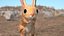 砂漠トビネズミの装備