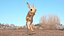 砂漠トビネズミの装備