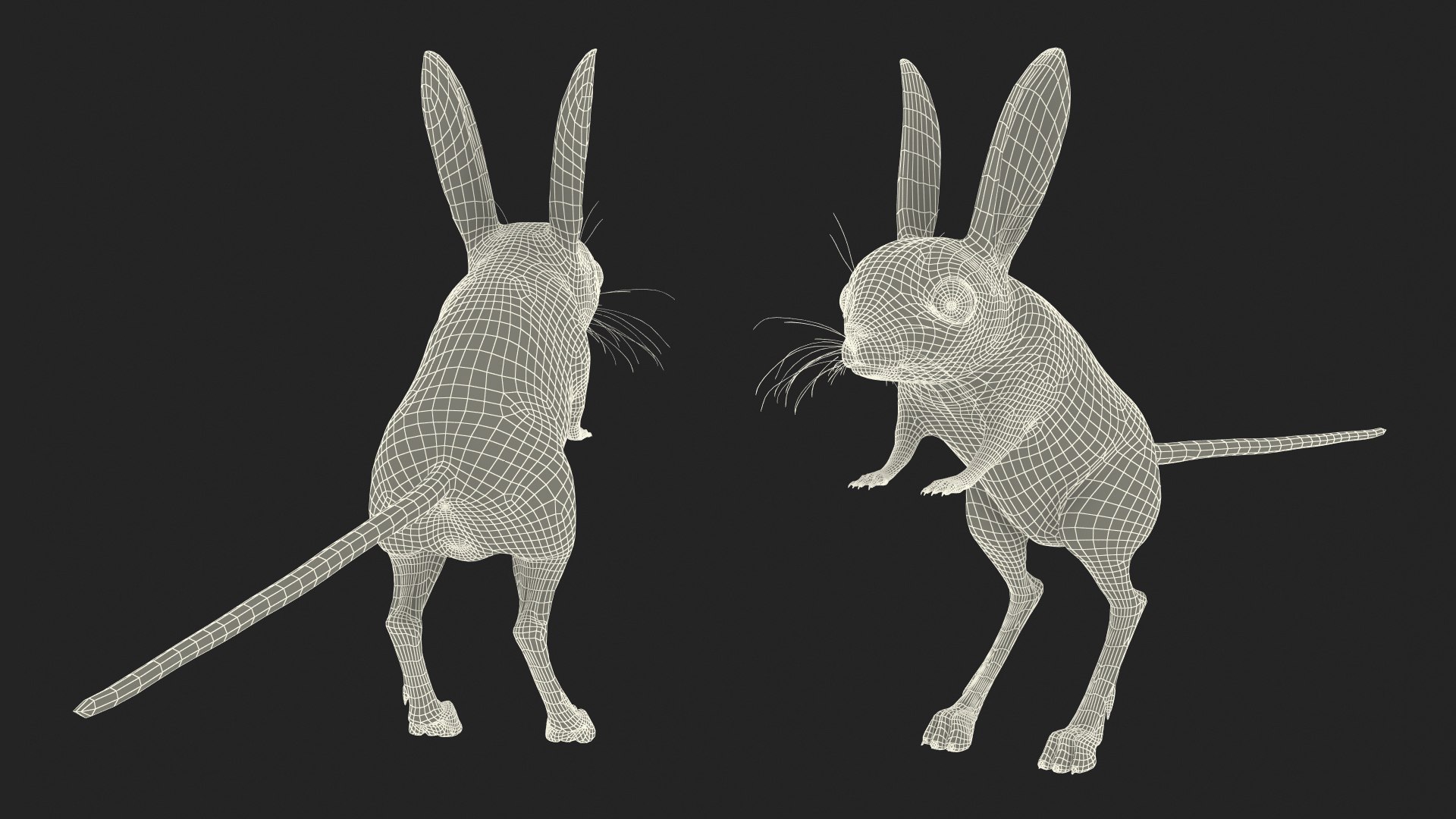Desert Jerboa Rigged 3D https://p.turbosquid.com/ts-thumb/Xf/GySknD/ZD/desertjerboariggedmb3dmodel036/jpg/1709590768/1920x1080/fit_q87/c246b3b36a830e0847c59ab09becd0055160ae81/desertjerboariggedmb3dmodel036.jpg