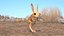 砂漠トビネズミの装備