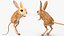 砂漠トビネズミの装備