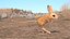 砂漠トビネズミの装備