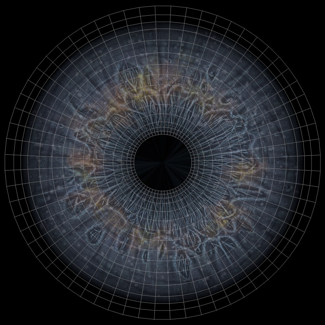 Grey Alien PBR Rigged 3D model https://p.turbosquid.com/ts-thumb/Xf/HhRzlI/12/alien_grey_iris_textures/jpg/1764330041/1920x1080/fit_q87/cf8fa58dd96bbc09d442299a56bf4ce944224dbb/alien_grey_iris_textures.jpg