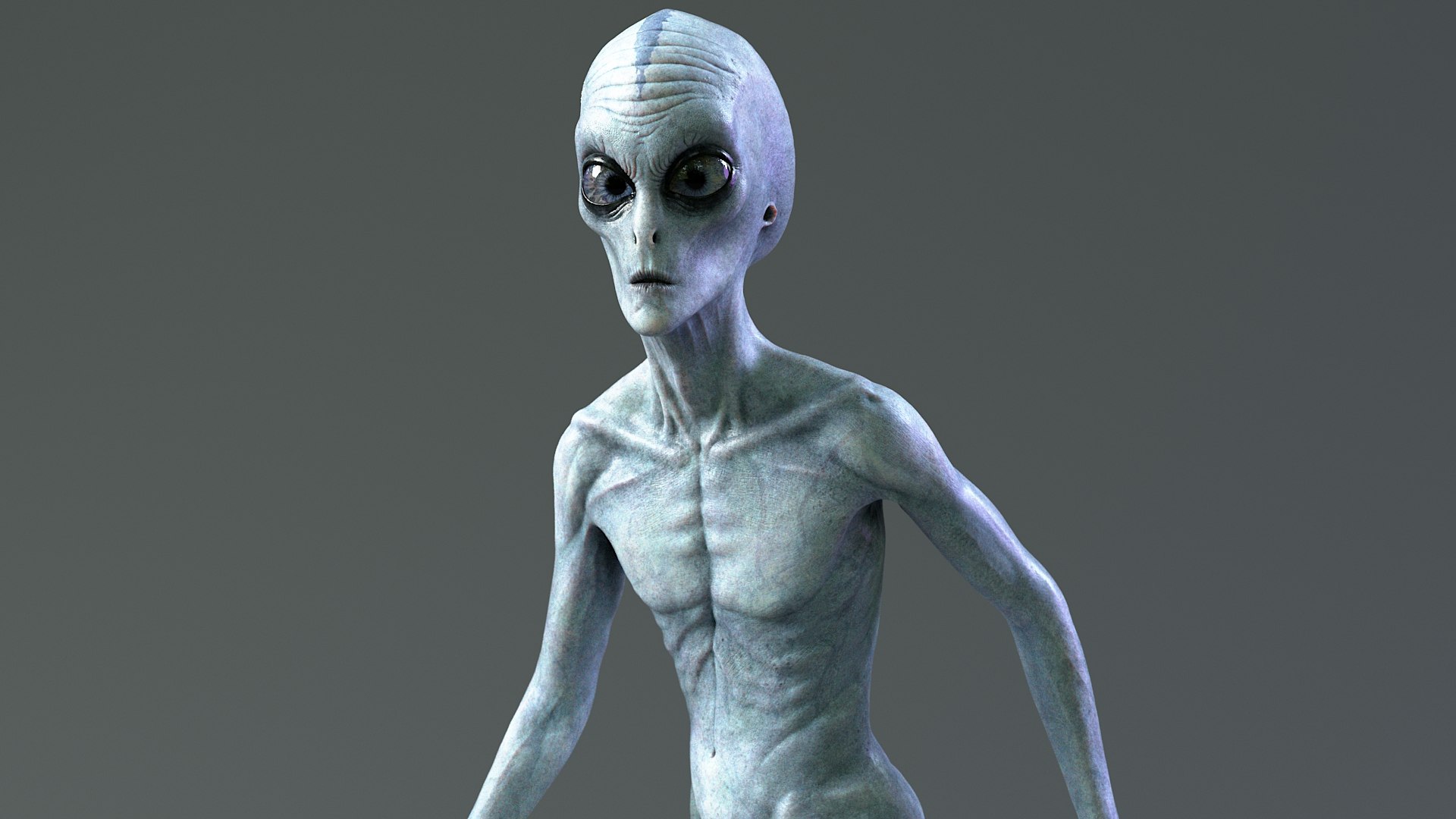 Grey Alien PBR Rigged 3D model https://p.turbosquid.com/ts-thumb/Xf/HhRzlI/6Q/alien_rigged_08/jpg/1764330052/1920x1080/fit_q87/e0494a6b3e95dac5e1898205784130632c2d0b23/alien_rigged_08.jpg