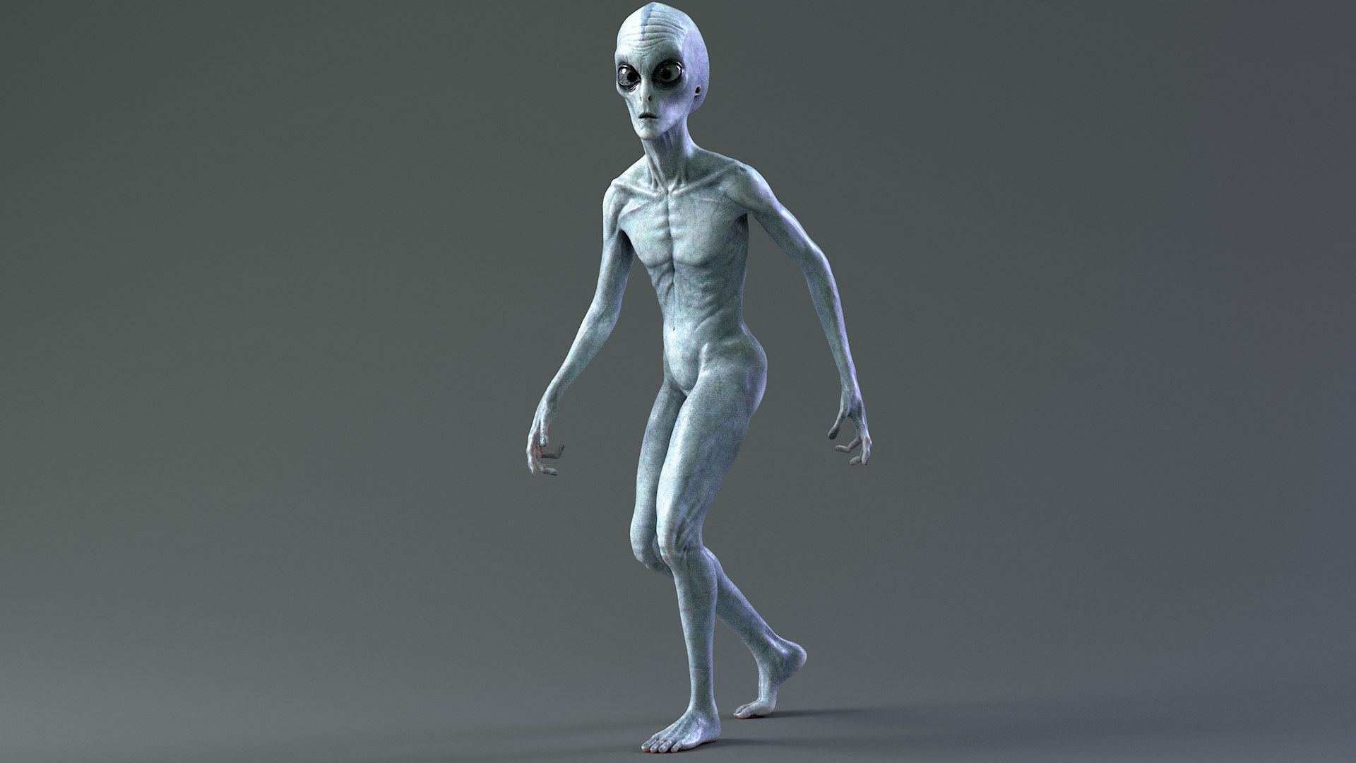 Grey Alien PBR Rigged 3D model https://p.turbosquid.com/ts-thumb/Xf/HhRzlI/8E/alien_rigged_07/jpg/1764330050/1920x1080/fit_q87/0041e29c44769334cdb891f0d11a022d4fd62069/alien_rigged_07.jpg