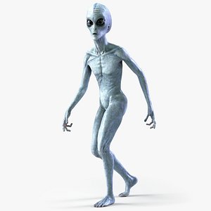 Grey Alien PBR Rigged 3D model