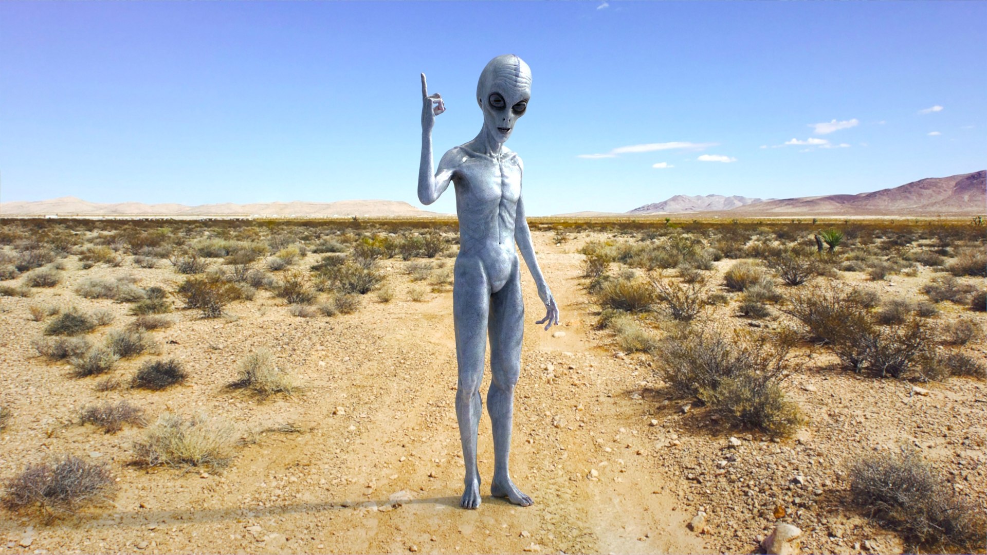 Grey Alien PBR Rigged 3D model https://p.turbosquid.com/ts-thumb/Xf/HhRzlI/HJ/alien_on_bg_02/jpg/1764329878/1920x1080/fit_q87/bd9e6e20fe8cd25e9eab01c4c6c7d878ba954c45/alien_on_bg_02.jpg