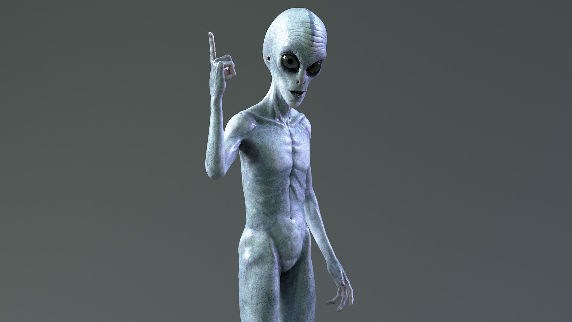 Grey Alien PBR Rigged 3D model https://p.turbosquid.com/ts-thumb/Xf/HhRzlI/W1/alien_rigged_10/jpg/1764330054/1920x1080/fit_q87/7c2d073af678b6893105e4f8382fb9e32219948c/alien_rigged_10.jpg