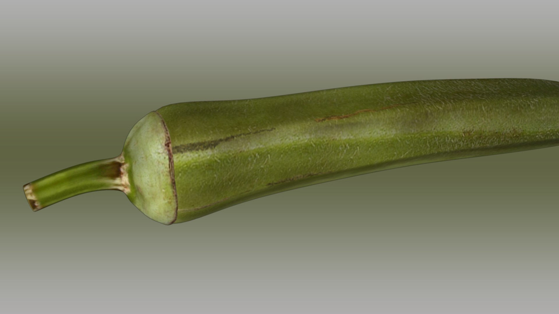 3d abelmoschus esculentus