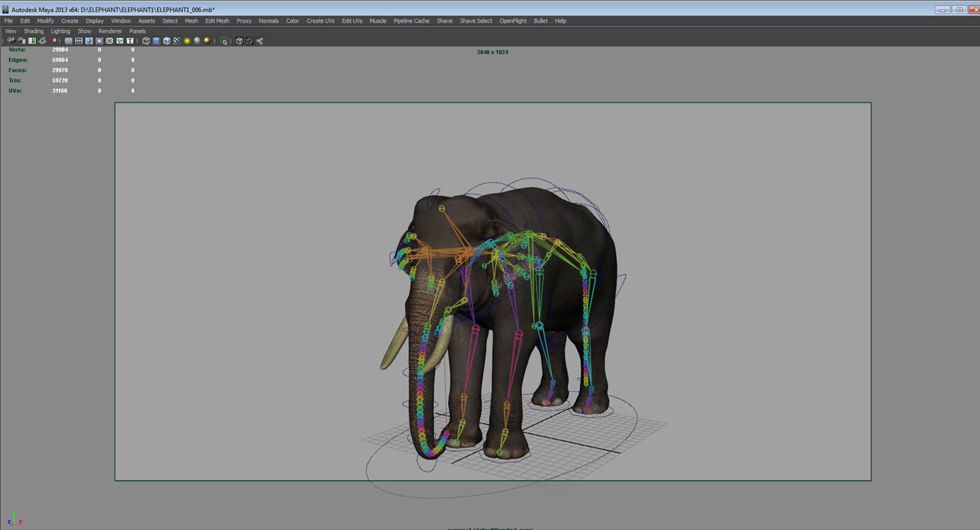 3D Model Elephant Riggged - TurboSquid 1442939