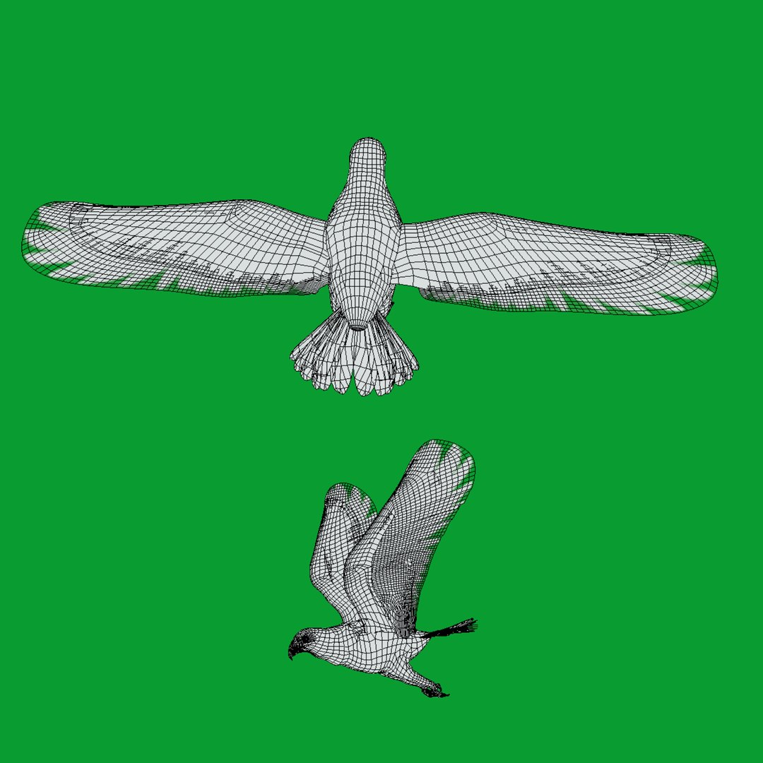 3D Osprey Sea Hawk Bird model https://p.turbosquid.com/ts-thumb/Xf/ejpgMW/5t/wire/png/1740815489/1920x1080/fit_q87/94d499fe5796418d5efd9181e97271d8f8dcd05a/wire.jpg