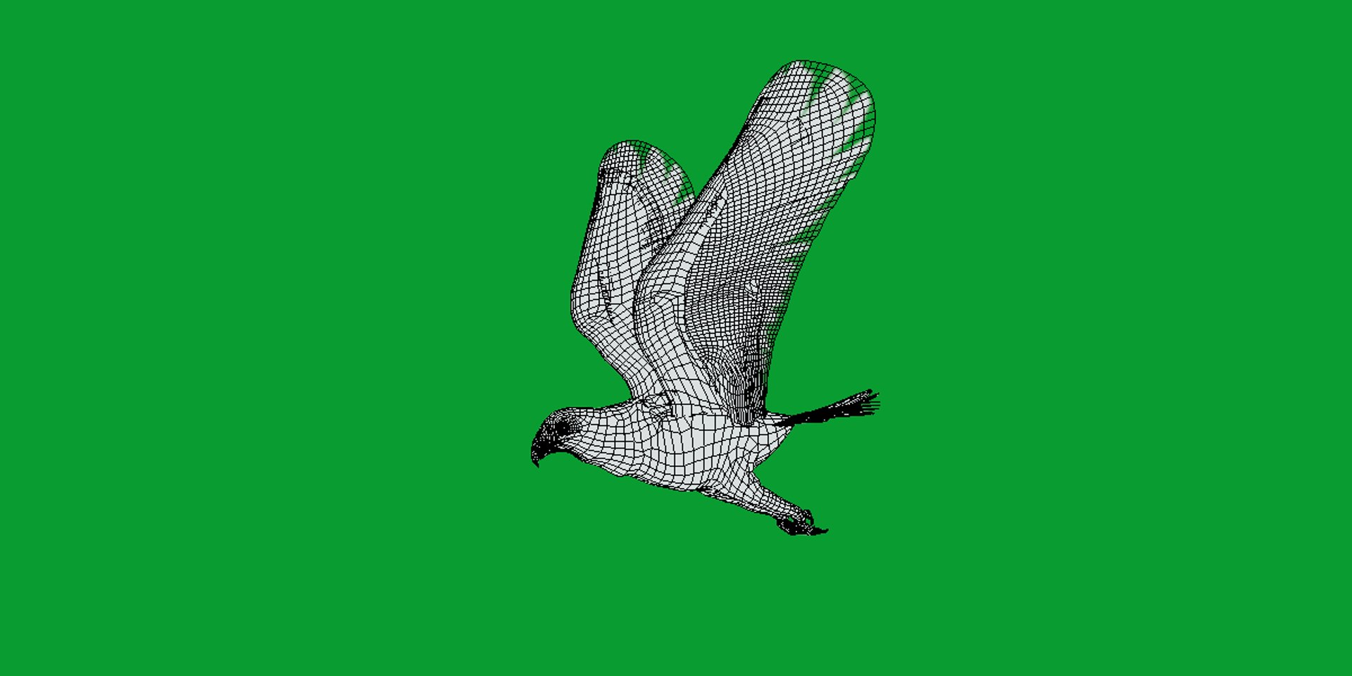 3D Osprey Sea Hawk Bird model https://p.turbosquid.com/ts-thumb/Xf/ejpgMW/WR/osprey_sea_hawk_bird15/png/1740815479/1920x1080/fit_q87/7304cc2962661bf84a35e04a6c0cbf1927b46268/osprey_sea_hawk_bird15.jpg
