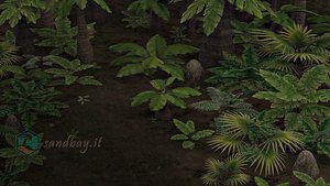 3D Tropical jungle plants and palms collection model