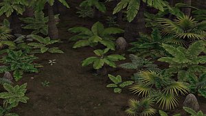 3D Tropical jungle plants and palms collection model