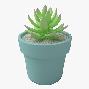 3D potted plant echeveria