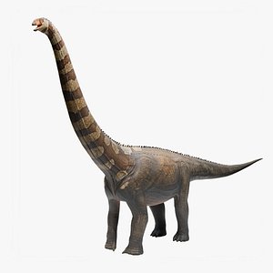 Puertasaurus - Dinosaur 3D model