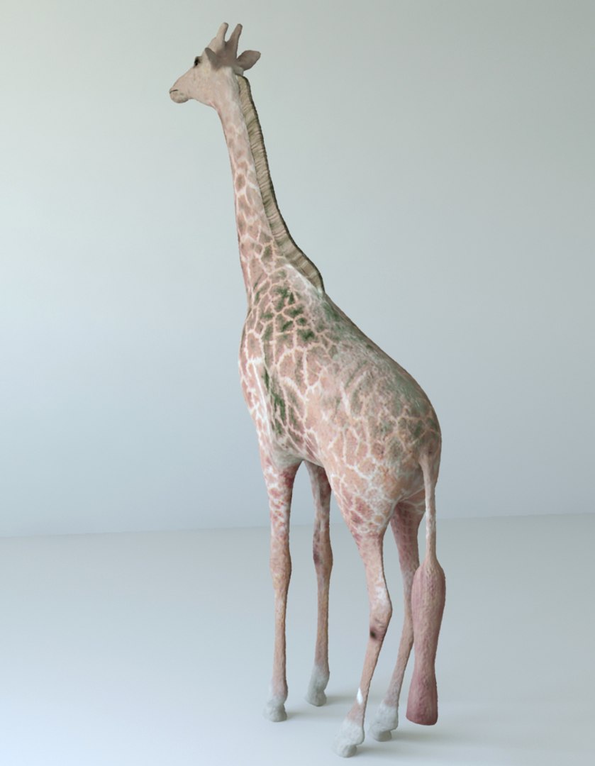 giraffes unwrapped 3d max https://p.turbosquid.com/ts-thumb/Xf/j6Lh0q/2BZfRXFM/5/jpg/1453929865/1920x1080/fit_q87/cce6817aaba805e2da94f1a651c7edd0a5c23a63/5.jpg