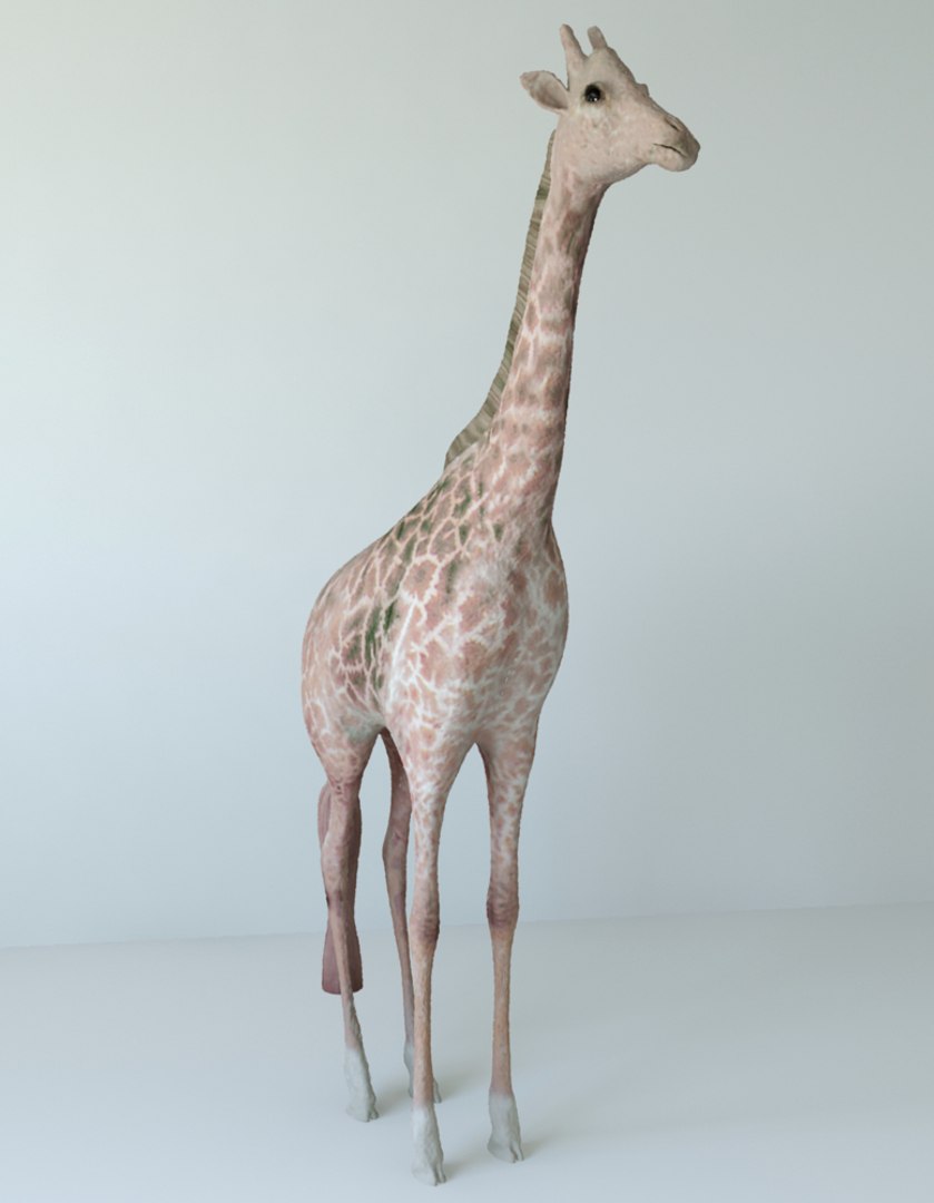 giraffes unwrapped 3d max https://p.turbosquid.com/ts-thumb/Xf/j6Lh0q/PlfbSL1T/1/jpg/1453929865/1920x1080/fit_q87/b8c50d3dd93fc1064104023f427b852bf274ce97/1.jpg