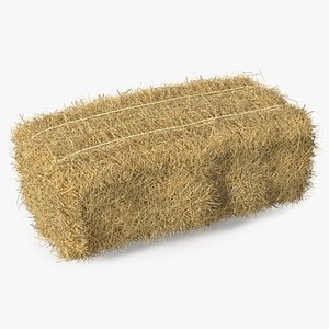 Straw Square Bale