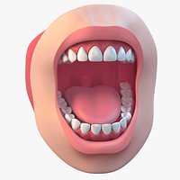 Orthodontic Mouth