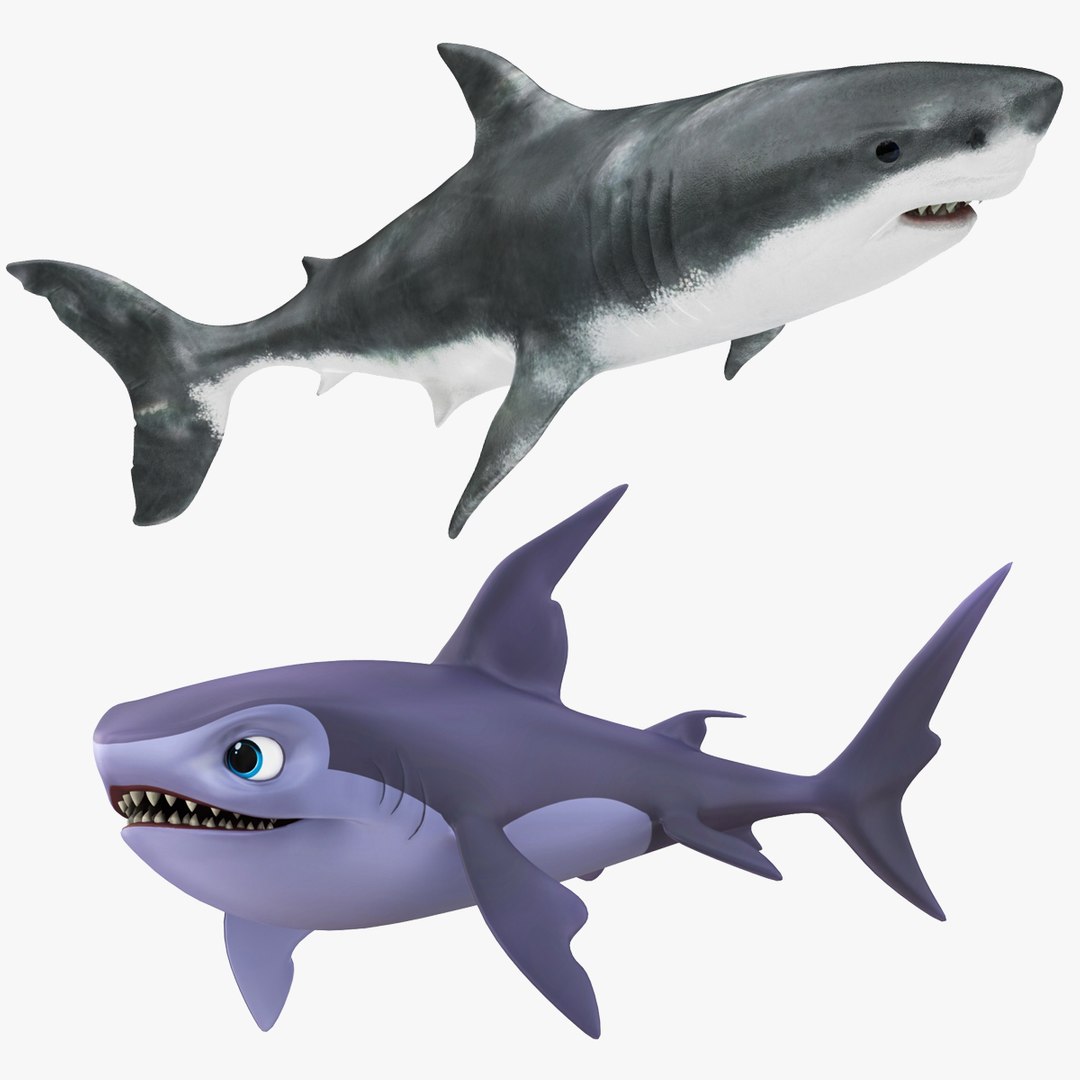 Shark Collection 3D model - TurboSquid 2077799