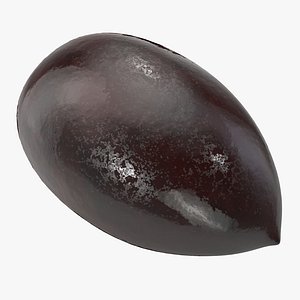 Kalamata Olive