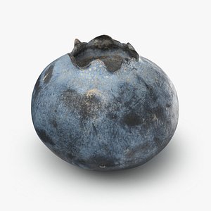 3D model Blueberry 02 - 3D Scanned