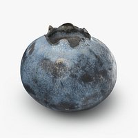 Blueberry 02 - 3D Scanned
