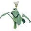 Calla Lily Zantedeschia aethiopica