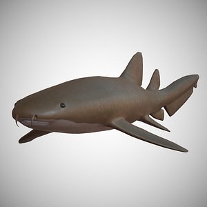 Nurse Shark