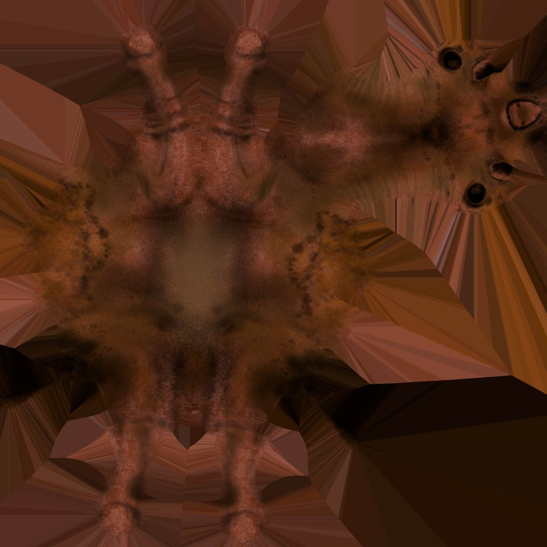 camel low-poly 3D https://p.turbosquid.com/ts-thumb/Xg/S6DRl6/0e/camel_diffuse/jpg/1737817462/1920x1080/fit_q87/d980bcc1d7f4cc43642fd703878af61be68a76bf/camel_diffuse.jpg